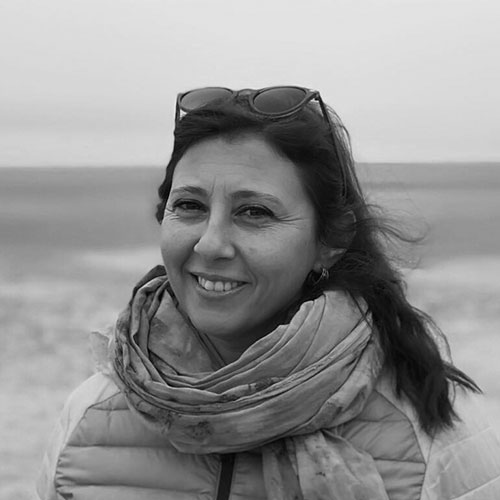 Deniz Şilliler Tapan